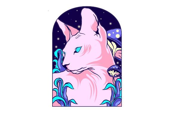 Cat Illustration F Review